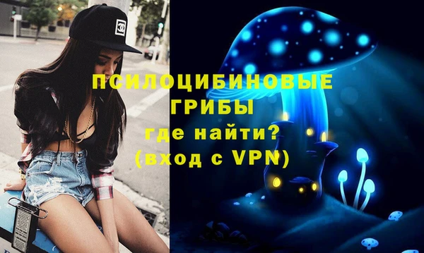 гашик Балахна